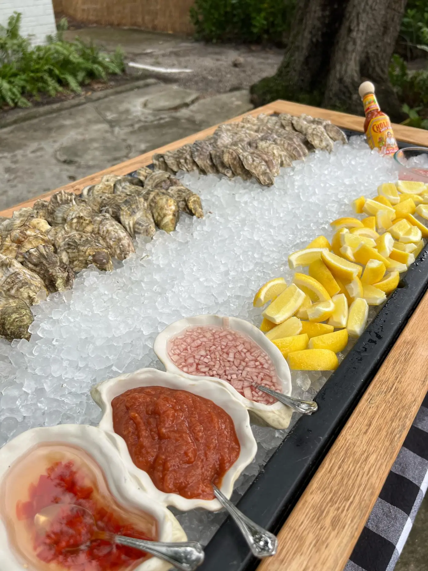 Ready-to-eat shucked oysters on ice for delivery